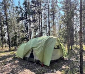 REI Wonderland tent set up in the woods